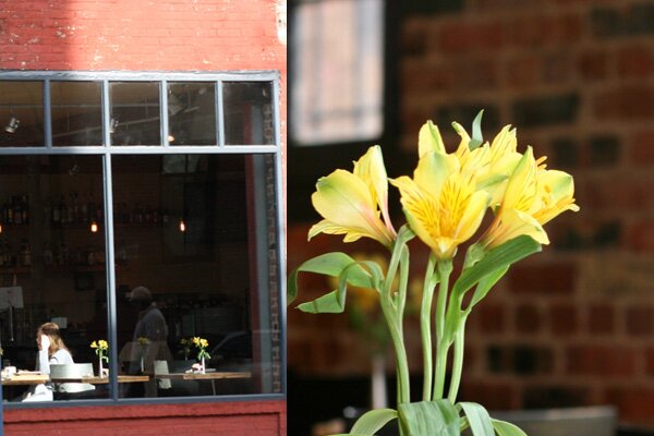 bocca-flower