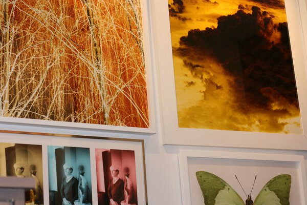 nest-photos