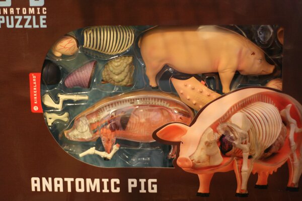 the-brooklyn-kitchen-anatomic-pig