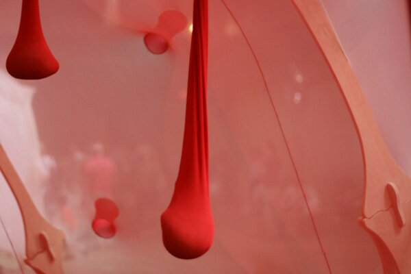neto-red