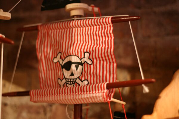 enchanted-pirate-flag