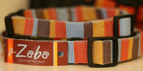 pet-shop-collar
