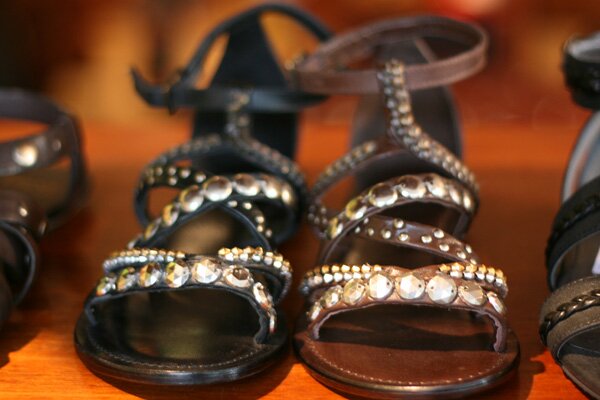 shoe-garden-gladiator-sandals