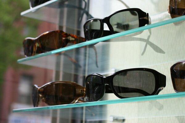 eye-shoppe-rows-of-glasses
