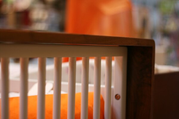 mini-jake-crib