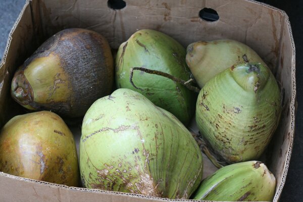 mother-and-sons-coconuts