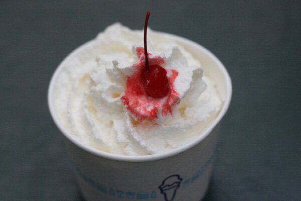 shake-shack-sundae