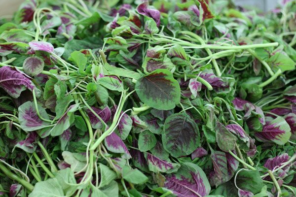 hk market green & purple