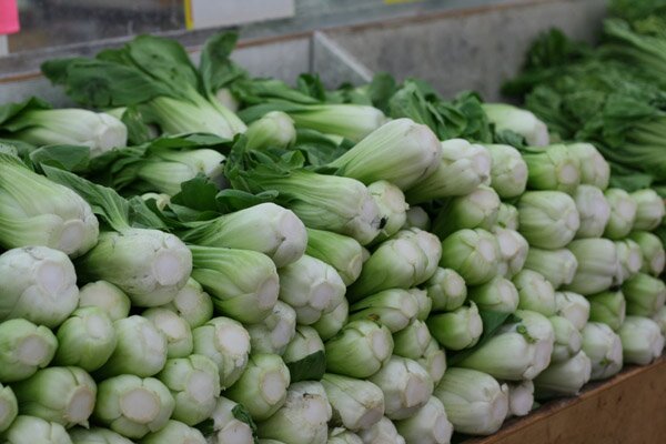 bok choy at hong kong supermarket in sunset park brooklyn