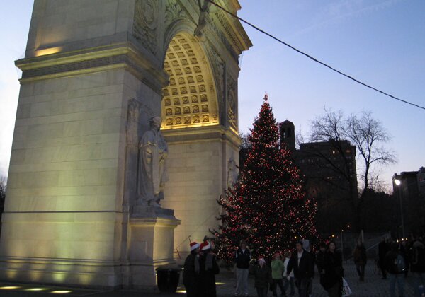 wash sq park tree_edited-1